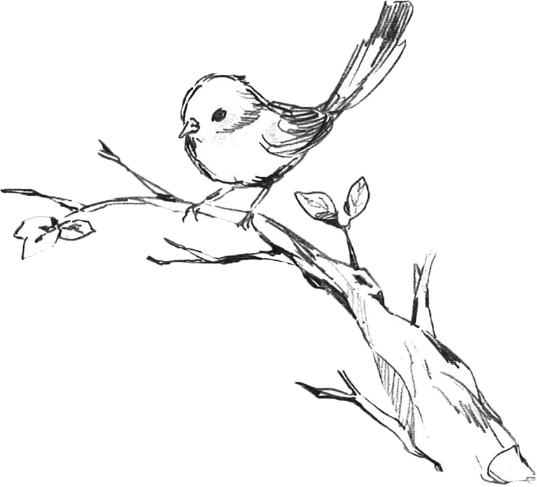 枝と鳥のイラスト